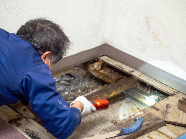 Water Damage Restoration in Trenton, TN