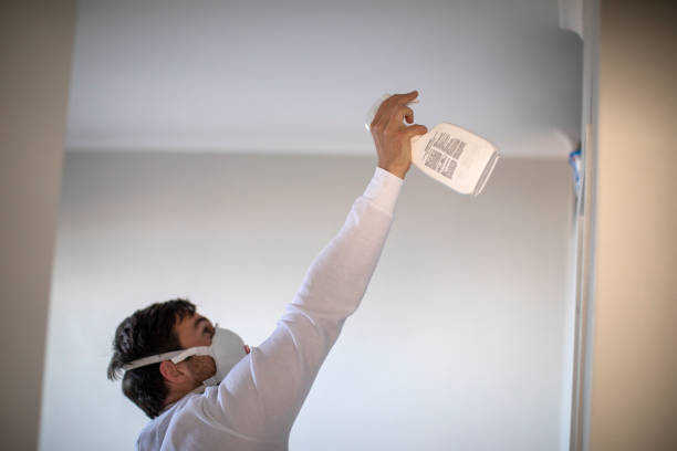 Best Mold Testing  in Trenton, TN