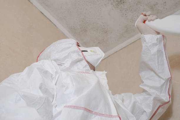 Best Crawl Space Mold Removal  in Trenton, TN